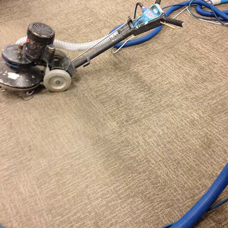 Carpet Cleaning with an RX